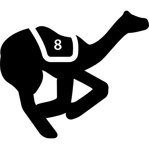 Camels race camel sports races icon