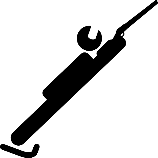 Olympic biatlon sportive multisports sports icon