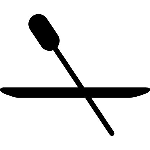 Paralympic rowing water paralympic sports icon