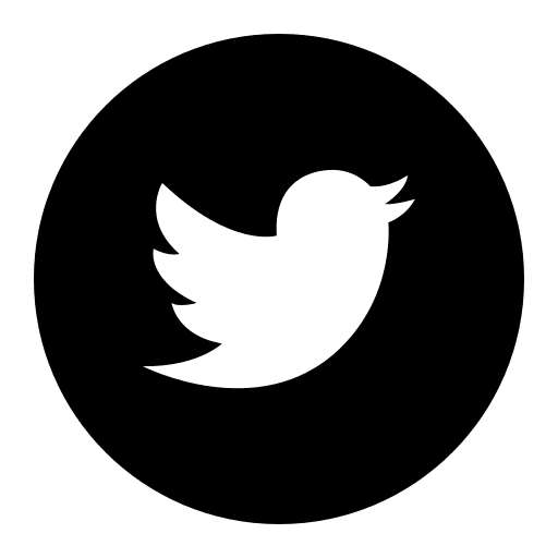 Twitter social network brand logo icon