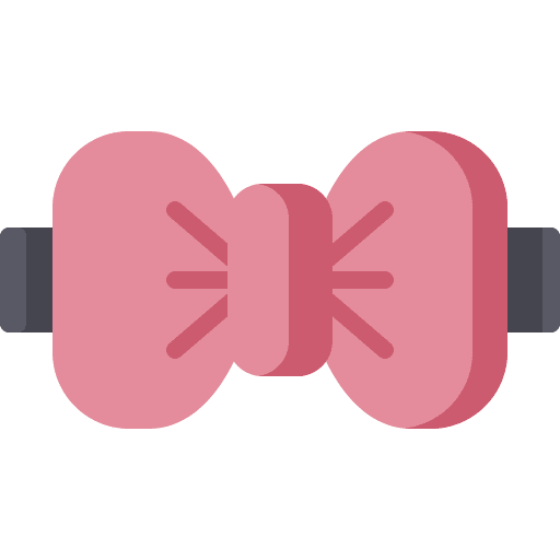 Bow tie elegant fashion garment icon Bow tie elegant fashion garment icon