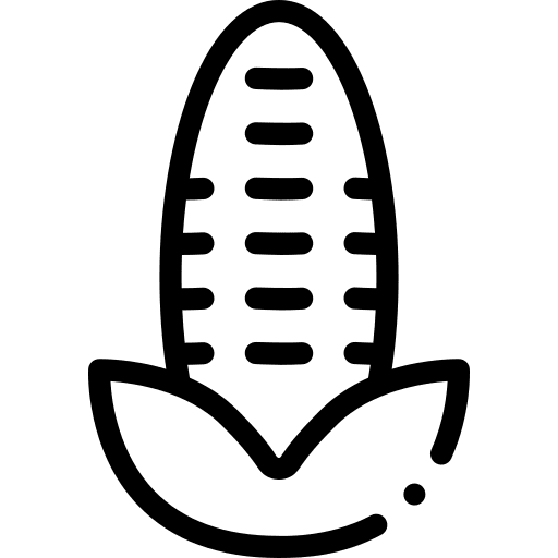 Corn healthy food food vegetarian icon Corn healthy food food vegetarian icon