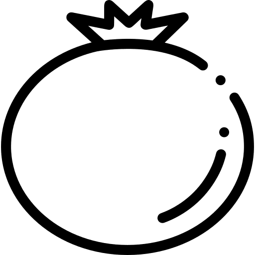 Tomato fruit diet organic icon Tomato fruit diet organic icon