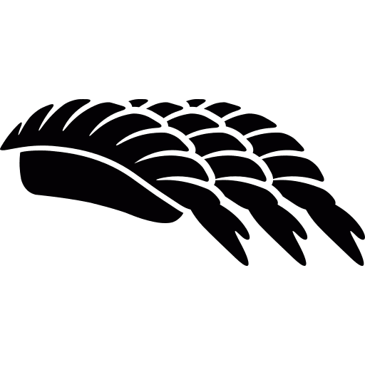 Fish japanese food japanese fish icon
