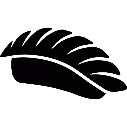 Sushi sushi japan fish icon