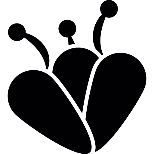 Petals floral flourish nature icon