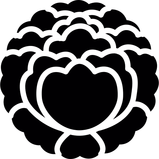 Japan oriental japanese food japan icon