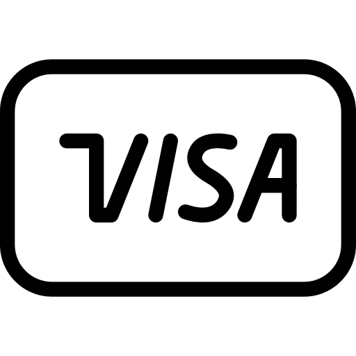 Visa visa commerce credit card icon