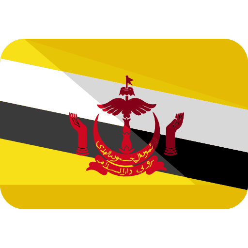 Brunei country nation patriotism icon