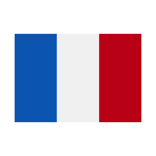 France nation french flags icon France nation french flags icon