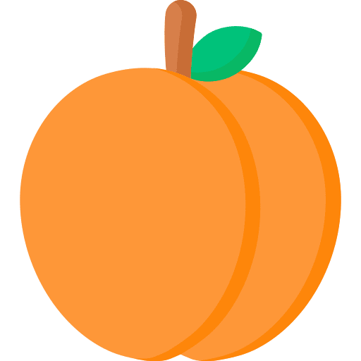 Apricot diet organic healthy food icon