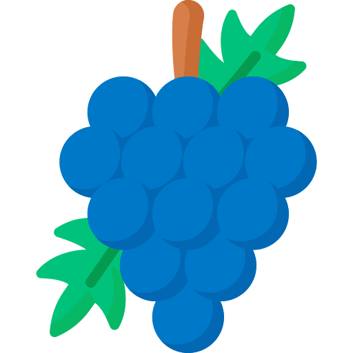 Grapes fruit grapes bouquet icon