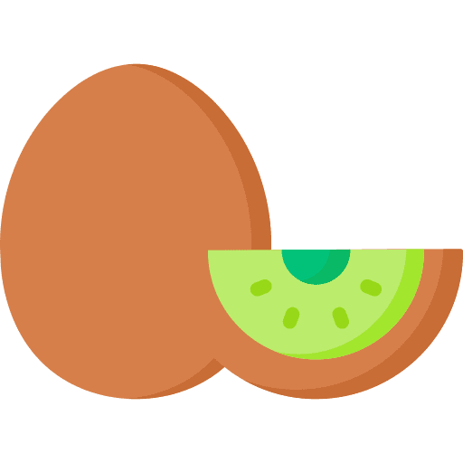 Kiwi kiwi fruit vegetarian icon