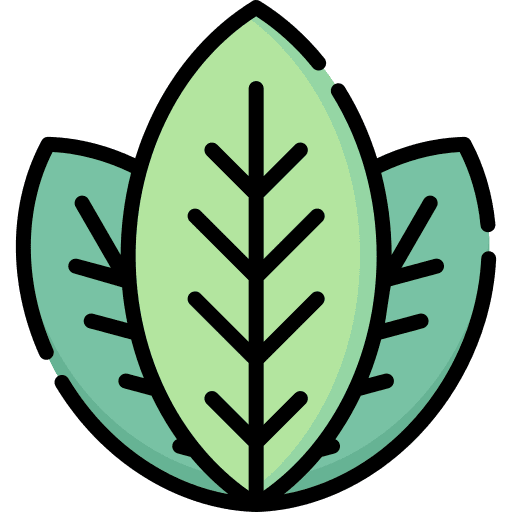 Leaves garden plant leaves icon