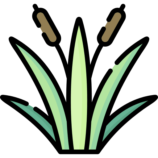 Reeds ecology reeds reed icon