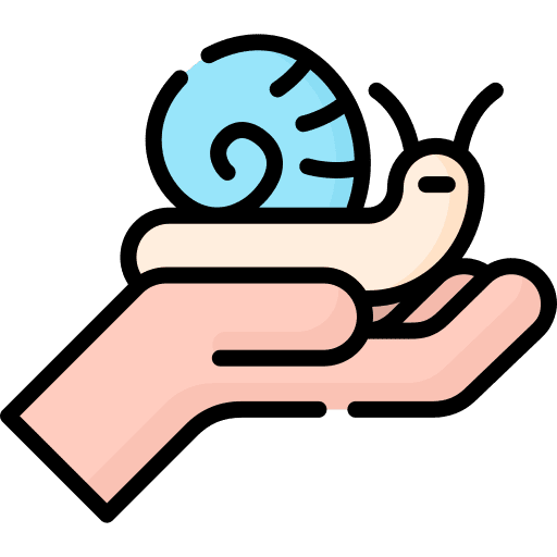 Snail zoo animals wildlife icon