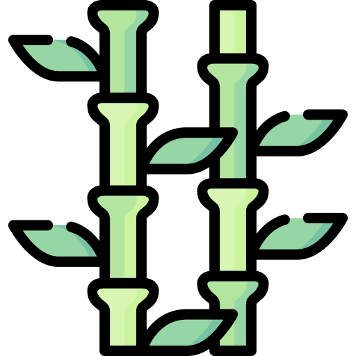 Bamboo chinese plant botanical icon