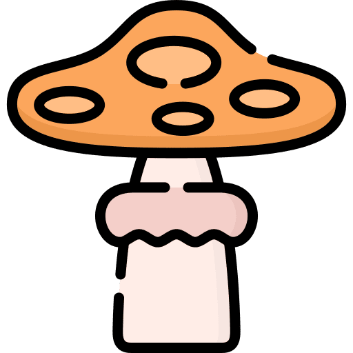 Mushroom nature fresh fungi icon