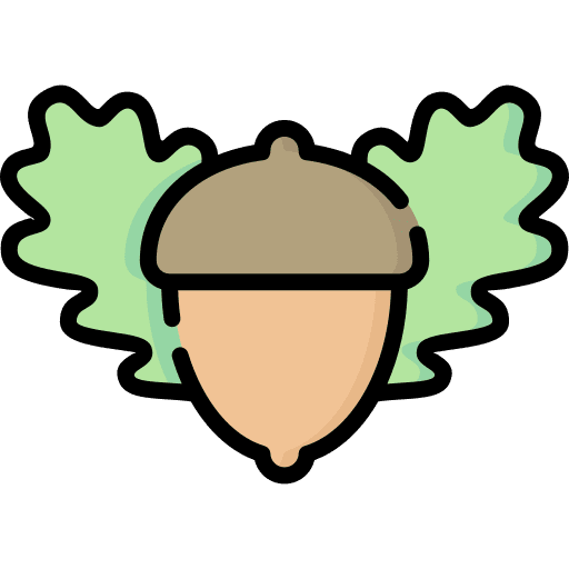 Oak nature chestnut autumn icon