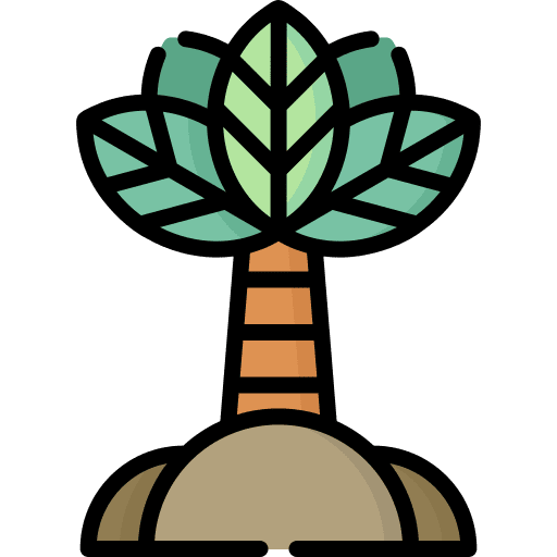 Palm tree palm tree landscape icon