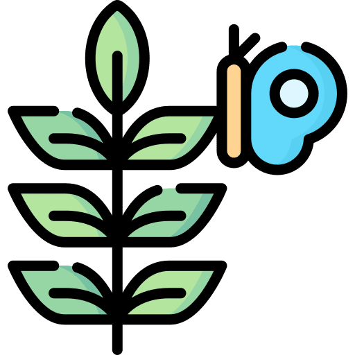 Plant spring botanical plant icon
