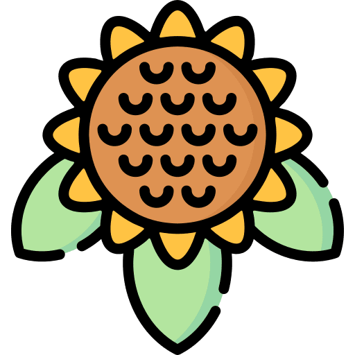 Sunflower petals nature sunflower icon