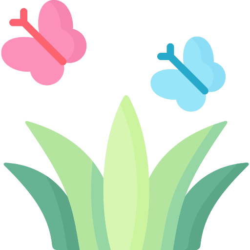 Butterflies garden butterfly wild life icon