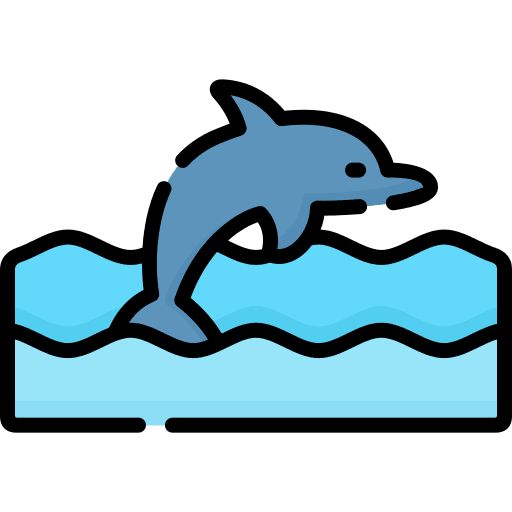 Dolphin marine mammal aquarium sea icon