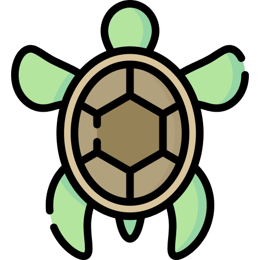 Turtle turtle animals animal kingdom icon