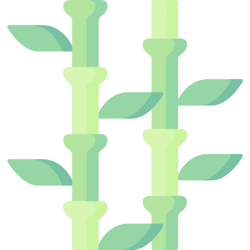 Bamboo botanical garden bamboo icon Bamboo botanical garden bamboo icon