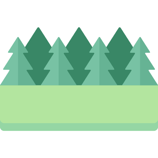 Forest botanical spruce pines icon Forest botanical spruce pines icon