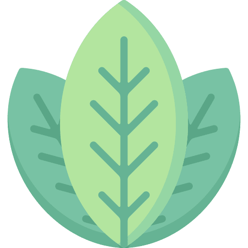 Leaves leaves botanical nature icon Leaves leaves botanical nature icon