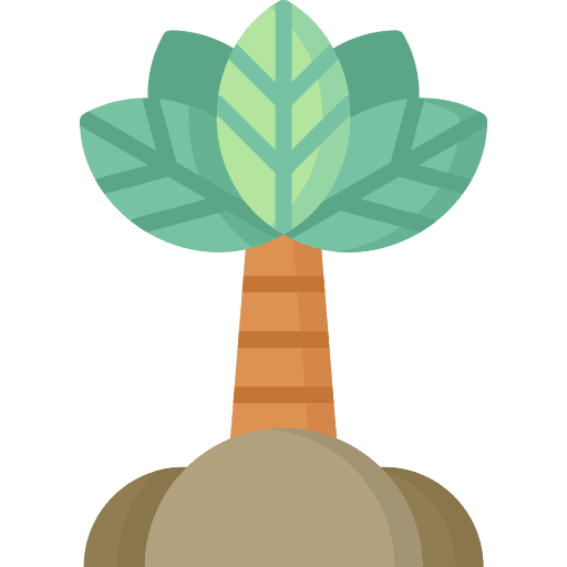 Palm tree leaf palm tree nature icon Palm tree leaf palm tree nature icon