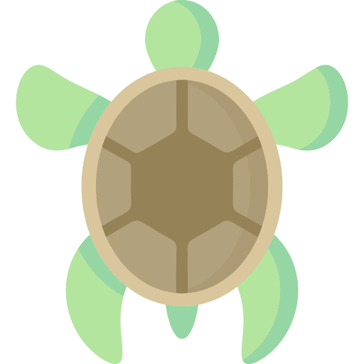 Turtle sea aquarium animals icon Turtle sea aquarium animals icon