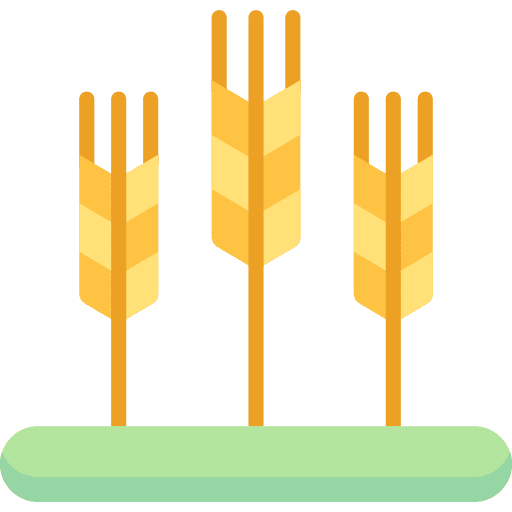 Wheat wheat grain food and restaurant cereal icon Wheat wheat grain food and restaurant cereal icon