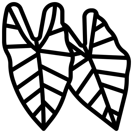 Alocasia nature home ecology icon Alocasia nature home ecology icon