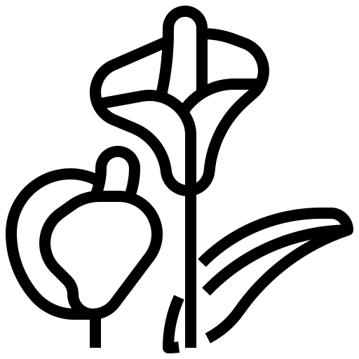 Araceae ecology araceae exotic icon Araceae ecology araceae exotic icon