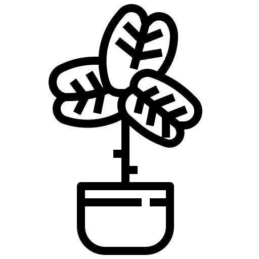 Fiddle fig leaf plant flower icon Fiddle fig leaf plant flower icon