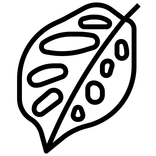 Monstera leaf botanical plant ecology icon