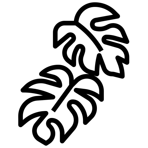 Monstera leaf ecology nature plant icon