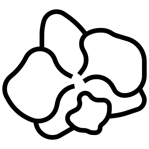 Orchid orchid flower petals icon