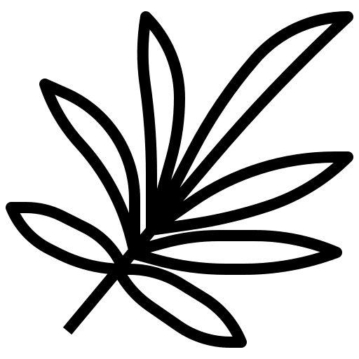 Palm palm botanical ecology icon