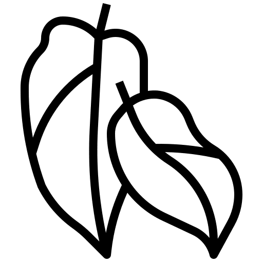Philodendron botanical philodendron leaf icon Philodendron botanical philodendron leaf icon