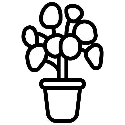 Chinese money plant exotic ecology pot icon Chinese money plant exotic ecology pot icon