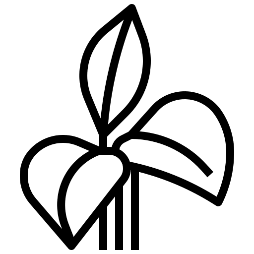 Dumb cane plant farming and gardening exotic icon Dumb cane plant farming and gardening exotic icon