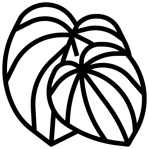 Peperromia plant ecology exotic icon Peperromia plant ecology exotic icon