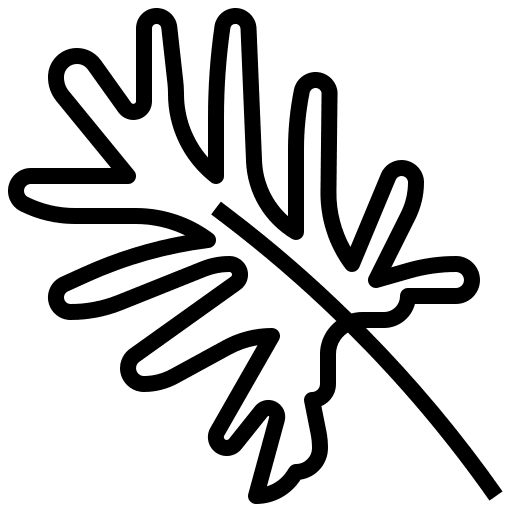 Philodendron xanadu philodendron xanadu ecology leaf icon Philodendron xanadu philodendron xanadu ecology leaf icon