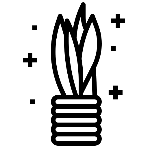 Variegated snake plant ecology flower exotic icon Variegated snake plant ecology flower exotic icon