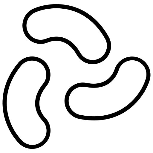 Snack cheese snack food and restaurant icon Snack cheese snack food and restaurant icon