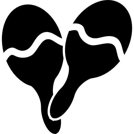 Maracas pair with white curve design maracas pair maracas latin icon